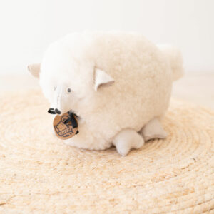 Sheep Teddy